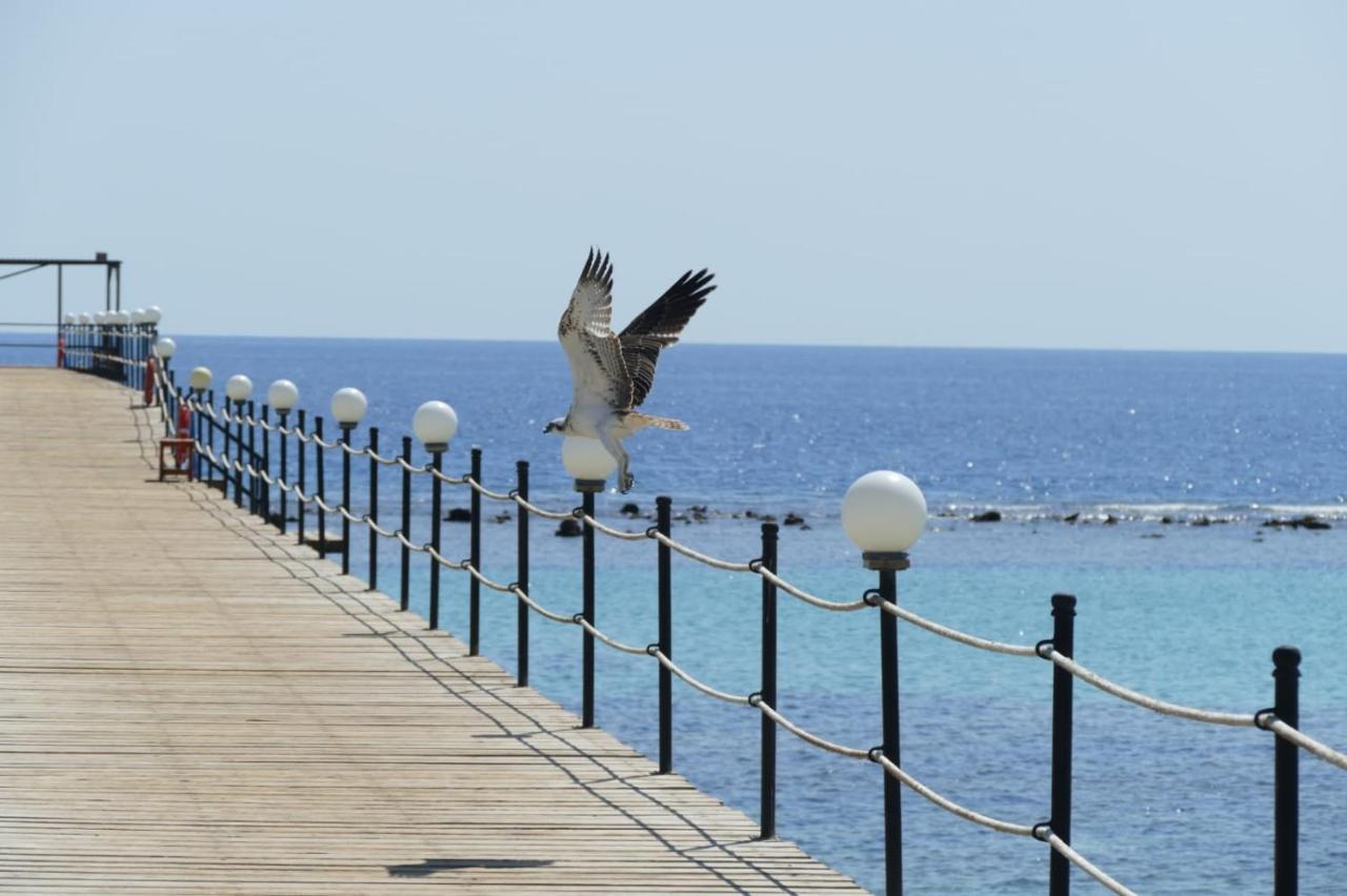 Wadi Lahmy Azur - Soft Complex