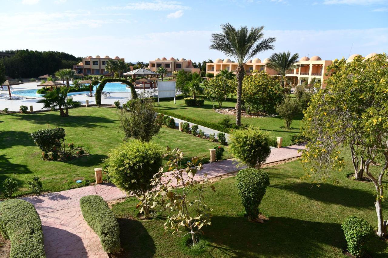 Wadi Lahmy Azur - Soft Complex 3*