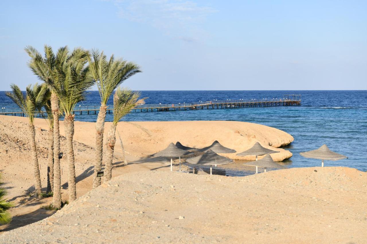 Wadi Lahmy Azur - Soft Complex
