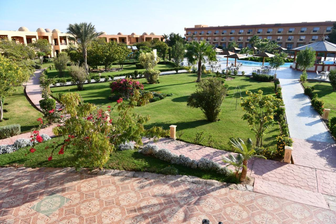 Wadi Lahmy Azur - Soft Complex