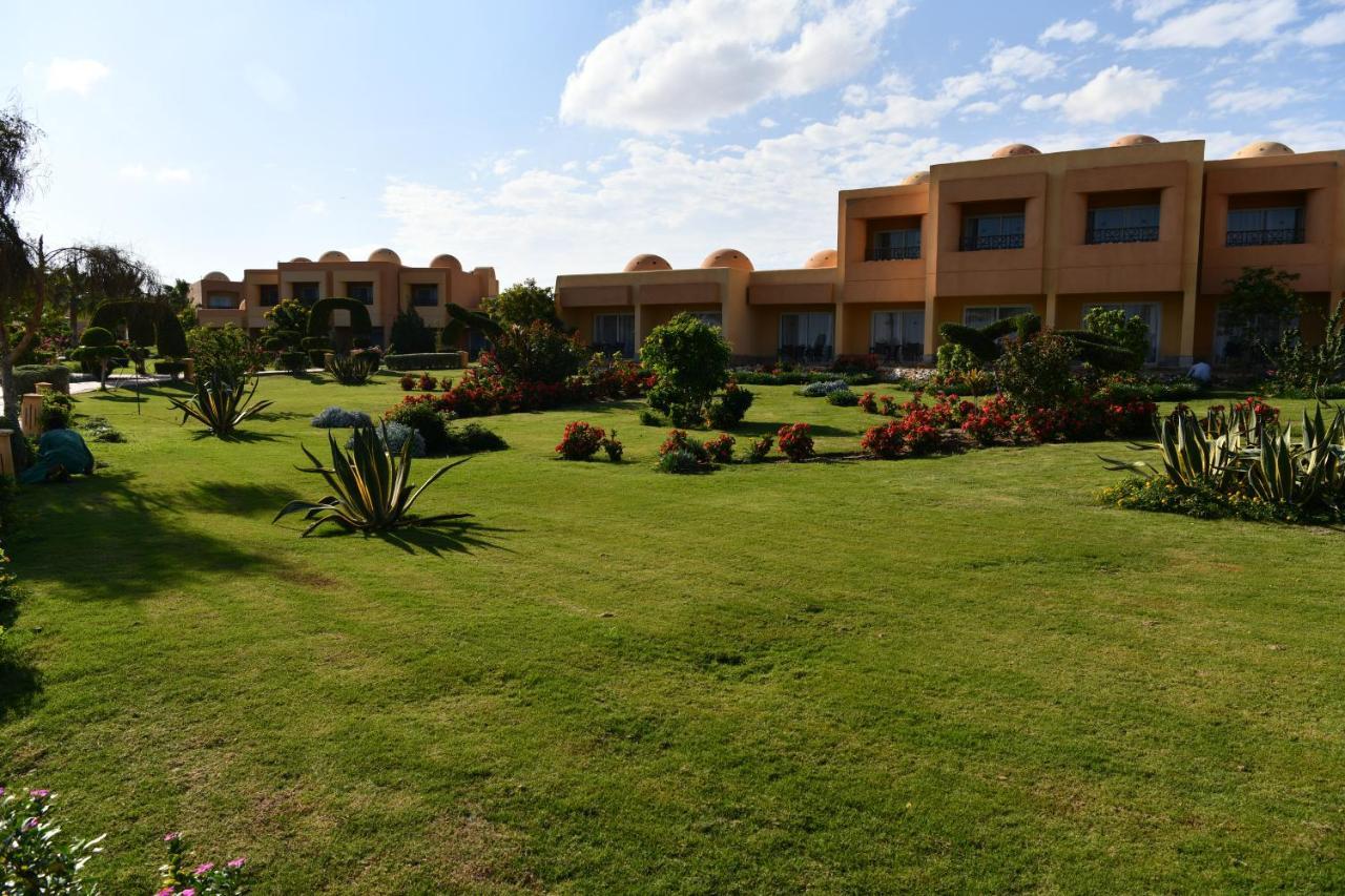 Complex Wadi Lahmy Azur - Soft 3*