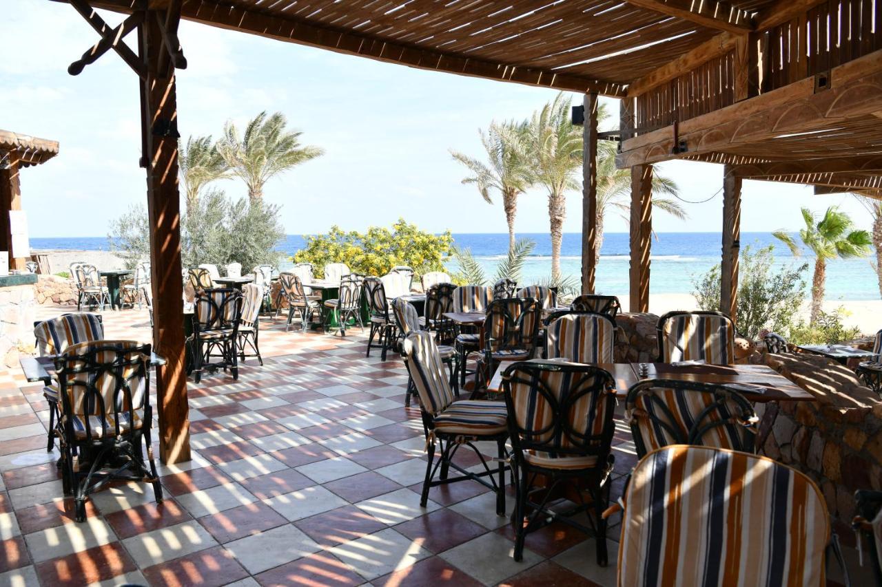 Wadi Lahmy Azur - Soft Complex