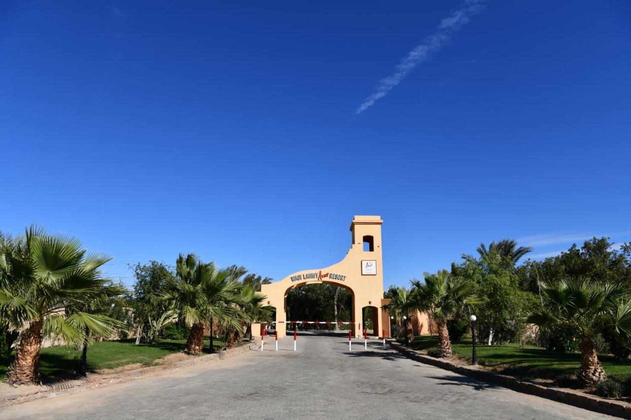 Wadi Lahmy Azur - Soft Complex